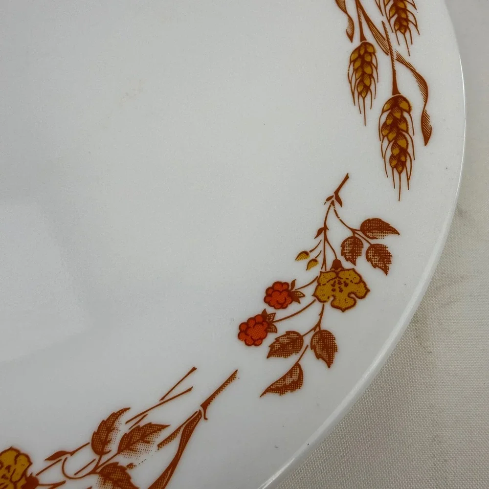 Corelle Autumn Harvest Dinner Plates Set of 4 Wheat Berries Vitrelle 10.25in
